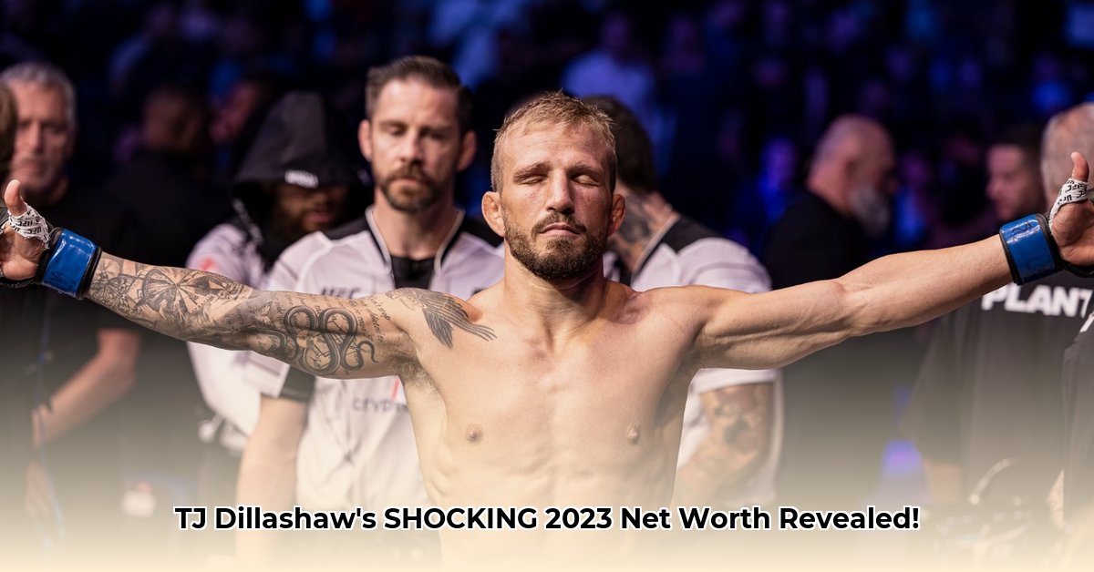 tj-dillashaw-net-worth